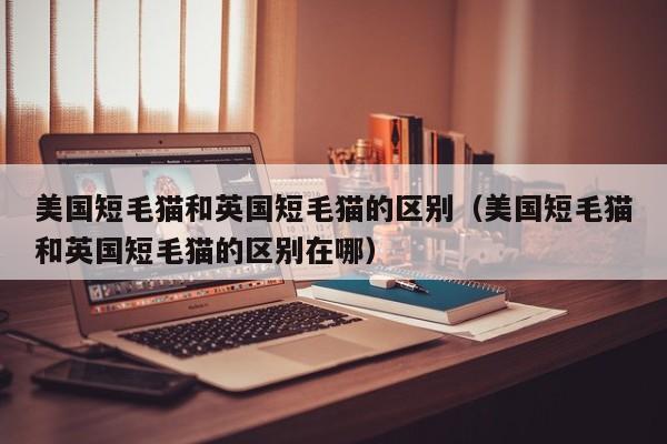 美国短毛猫和英国短毛猫的区别（美国短毛猫和英国短毛猫的区别在哪）