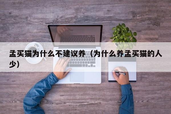 孟买猫为什么不建议养（为什么养孟买猫的人少）