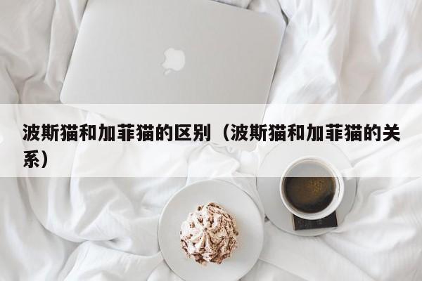 波斯猫和加菲猫的区别（波斯猫和加菲猫的关系）