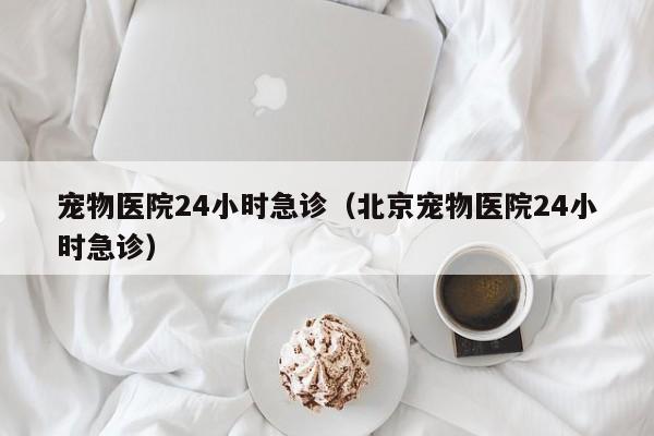 宠物医院24小时急诊（北京宠物医院24小时急诊）