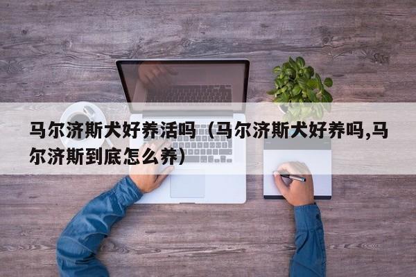 马尔济斯犬好养活吗（马尔济斯犬好养吗,马尔济斯到底怎么养）