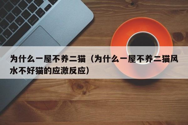 为什么一屋不养二猫（为什么一屋不养二猫风水不好猫的应激反应）