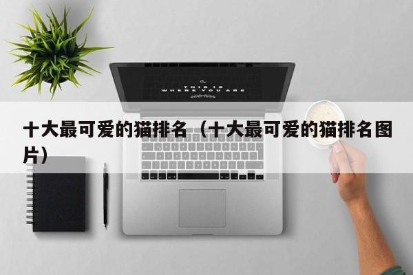 十大最可爱的猫排名（十大最可爱的猫排名图片）