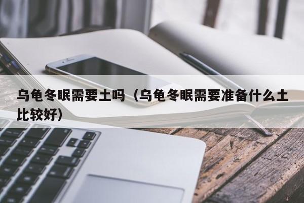 乌龟冬眠需要土吗（乌龟冬眠需要准备什么土比较好）
