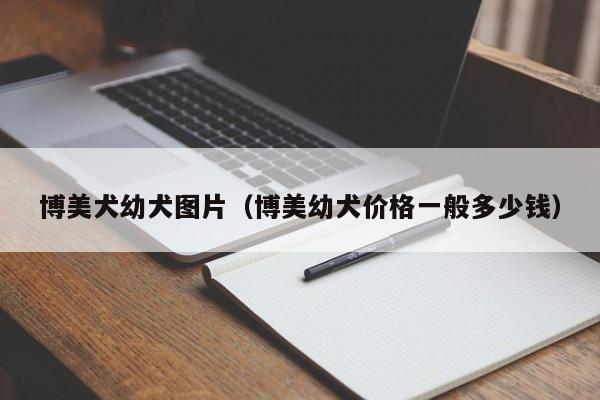 博美犬幼犬图片（博 *** 犬价格一般多少钱）