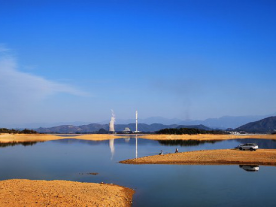 鉴定狗狗专家在线咨询（宠物狗鉴定师在线咨询）