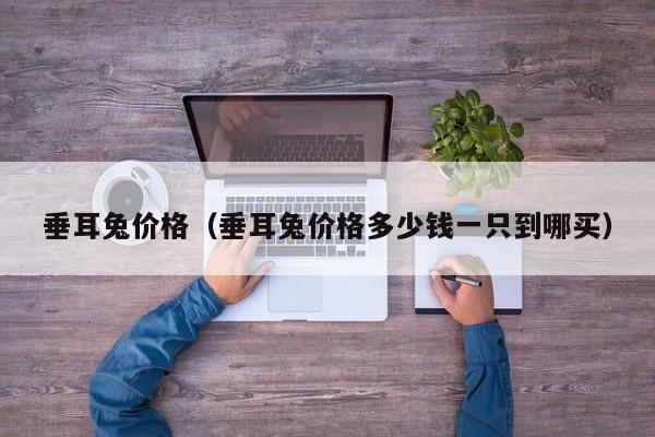 垂耳兔价格（垂耳兔价格多少钱一只到哪买）