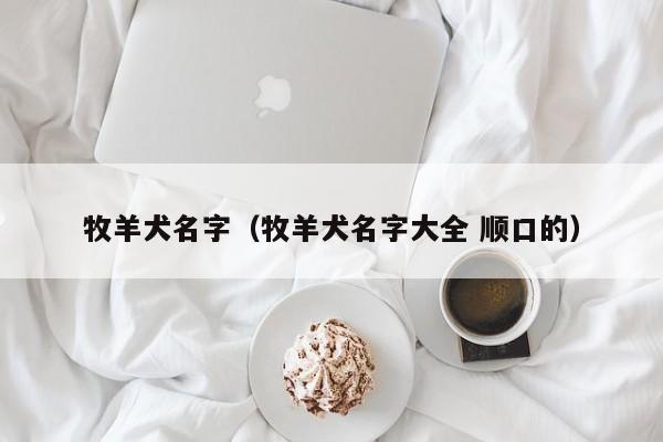 牧羊犬名字（牧羊犬名字大全 顺口的）