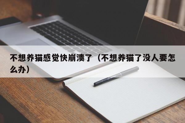 不想养猫感觉快崩溃了（不想养猫了没人要怎么办）