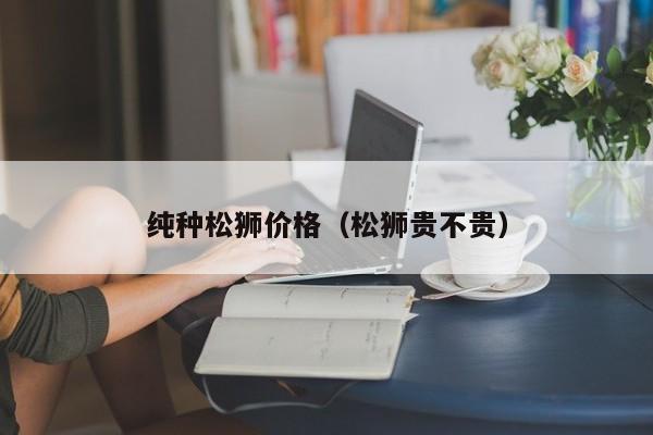 纯种松狮价格（松狮贵不贵）