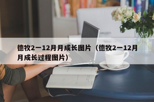 德牧2一12月月成长图片（德牧2一12月月成长过程图片）