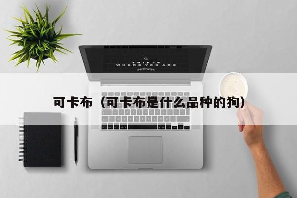 可卡布（可卡布是什么品种的狗）