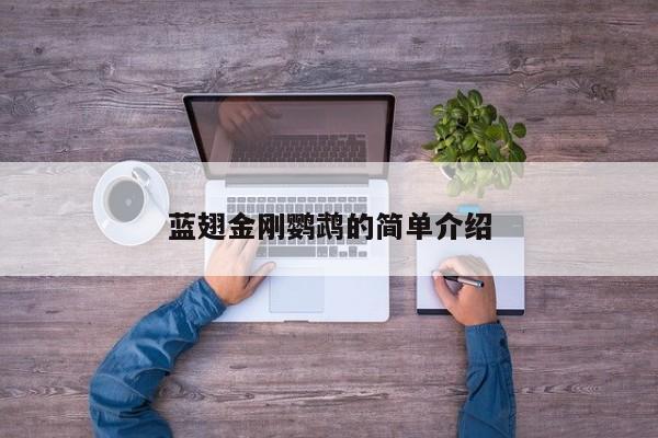 蓝翅金刚鹦鹉的简单介绍