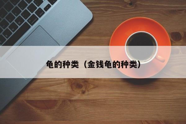 龟的种类（金钱龟的种类）
