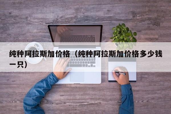 纯种阿拉斯加价格（纯种阿拉斯加价格多少钱一只）