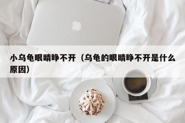小乌龟眼睛睁不开（乌龟的眼睛睁不开是什么原因）