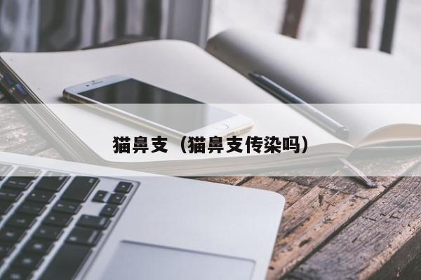 猫鼻支（猫鼻支传染吗）
