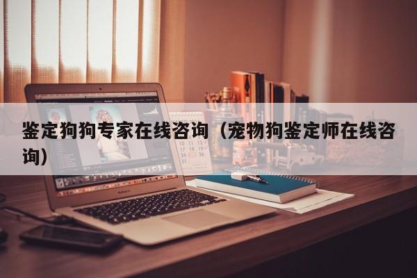 鉴定狗狗专家在线咨询（宠物狗鉴定师在线咨询）