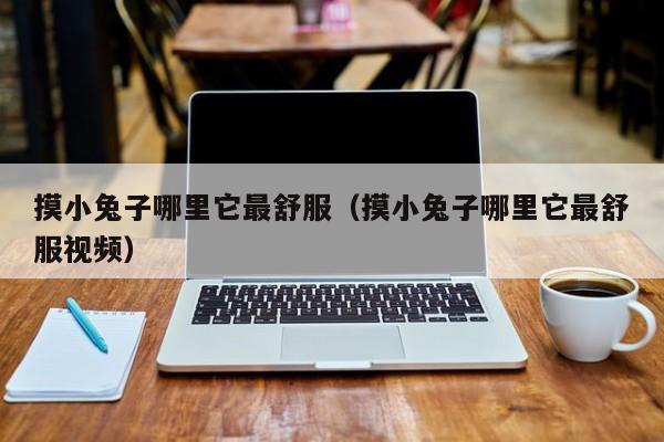 摸小兔子哪里它最舒服（摸小兔子哪里它最舒服视频）