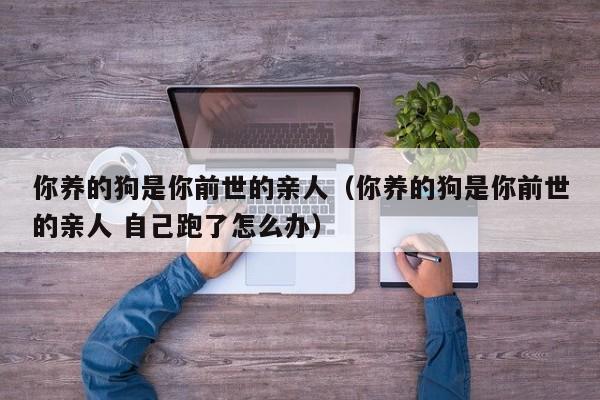 你养的狗是你前世的亲人（你养的狗是你前世的亲人 自己跑了怎么办）