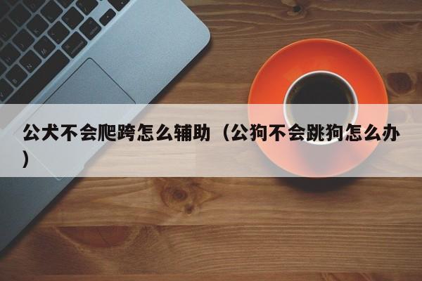 公犬不会爬跨怎么辅助（公狗不会跳狗怎么办）