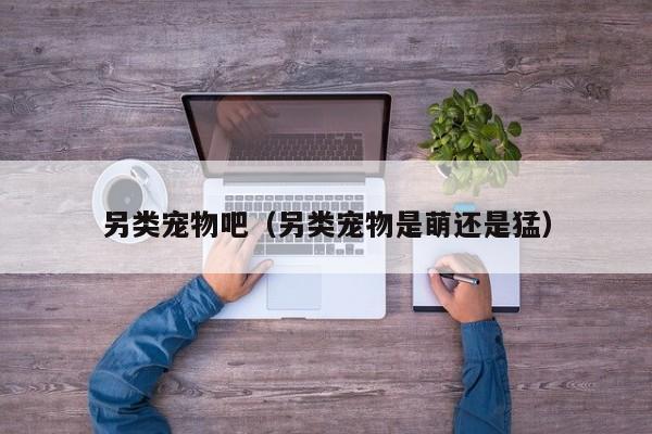 另类宠物吧（另类宠物是萌还是猛）