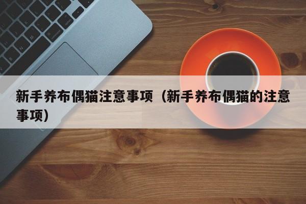 新手养布偶猫注意事项（新手养布偶猫的注意事项）