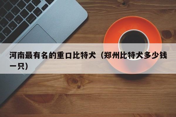 河南最有名的重口比特犬（郑州比特犬多少钱一只）