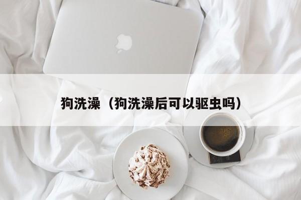 狗洗澡（狗洗澡后可以驱虫吗）