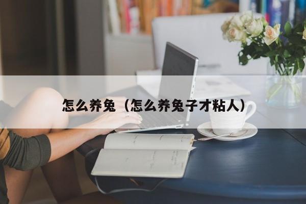 怎么养兔（怎么养兔子才粘人）