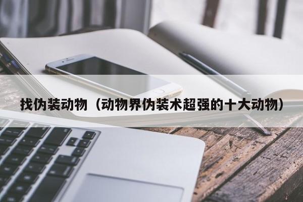 找伪装动物（动物界伪装术超强的十大动物）