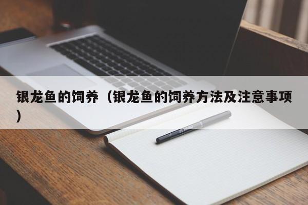 银龙鱼的饲养（银龙鱼的饲养 *** 及注意事项）