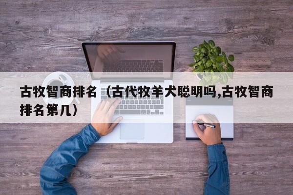 古牧智商排名（古代牧羊犬聪明吗,古牧智商排名第几）