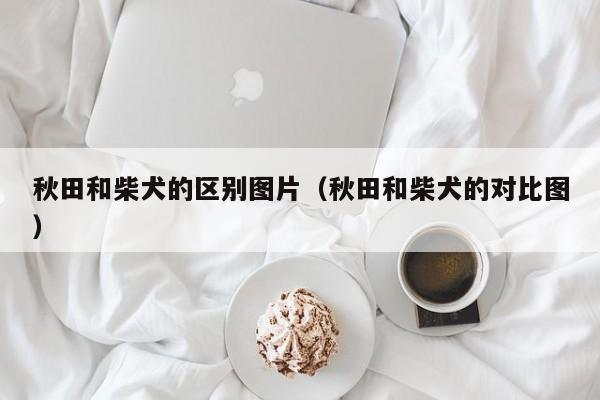 秋田和柴犬的区别图片（秋田和柴犬的对比图）
