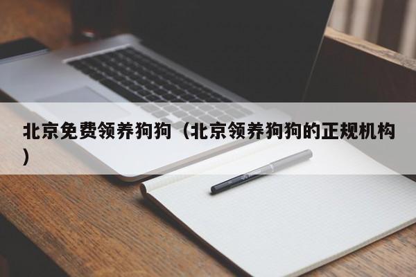 北京免费领养狗狗（北京领养狗狗的正规机构）