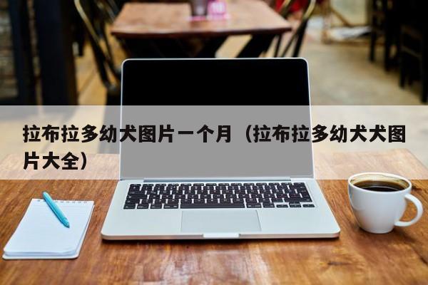 拉布拉多幼犬图片一个月（拉布拉多幼犬犬图片大全）