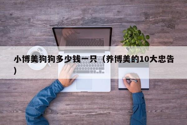 小博美狗狗多少钱一只（养博美的10大忠告）