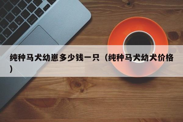 纯种马犬幼崽多少钱一只（纯种马犬幼犬价格）