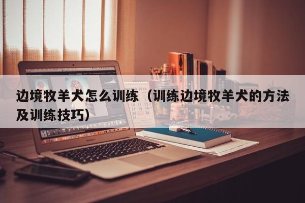边境牧羊犬怎么训练（训练边境牧羊犬的 *** 及训练技巧）