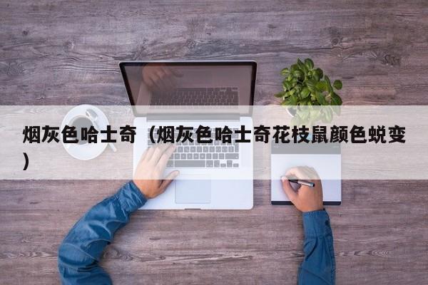 烟灰色哈士奇（烟灰色哈士奇花枝鼠颜色蜕变）