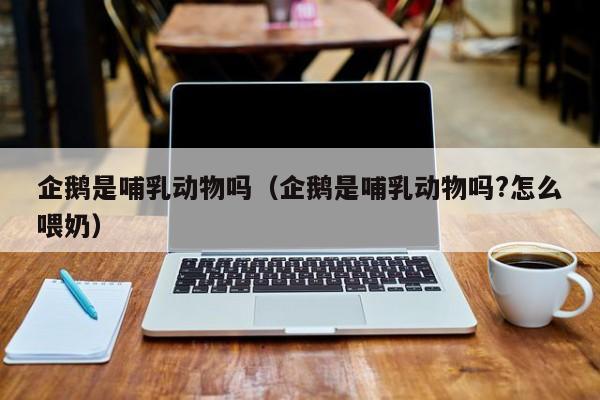 企鹅是哺乳动物吗（企鹅是哺乳动物吗?怎么喂奶）