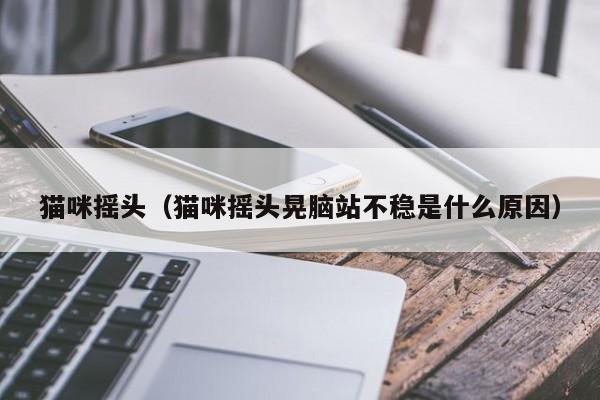 猫咪摇头（猫咪摇头晃脑站不稳是什么原因）