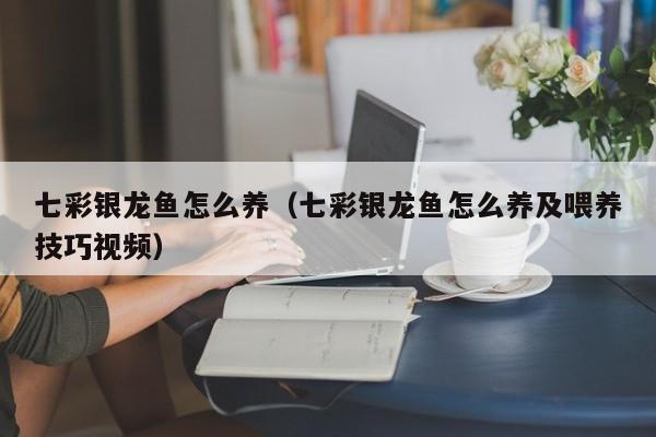 七彩银龙鱼怎么养（七彩银龙鱼怎么养及喂养技巧视频）