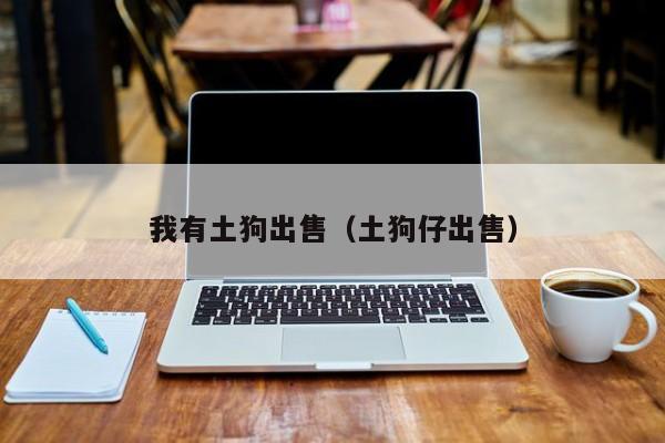 我有土狗出售（土狗仔出售）