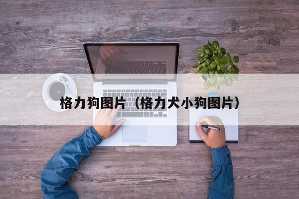 格力狗图片（格力犬小狗图片）