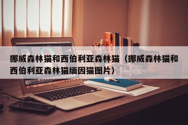 挪威森林猫和西伯利亚森林猫（挪威森林猫和西伯利亚森林猫缅因猫图片）