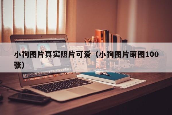 小狗图片真实照片可爱（小狗图片萌图100张）