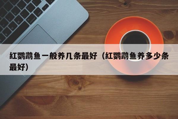 红鹦鹉鱼一般养几条更好（红鹦鹉鱼养多少条更好）