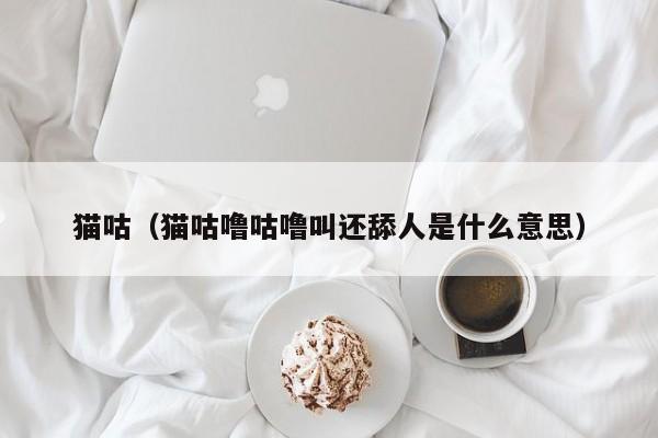 猫咕（猫咕噜咕噜叫还舔人是什么意思）