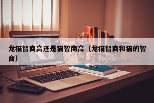 龙猫智商高还是猫智商高（龙猫智商和猫的智商）